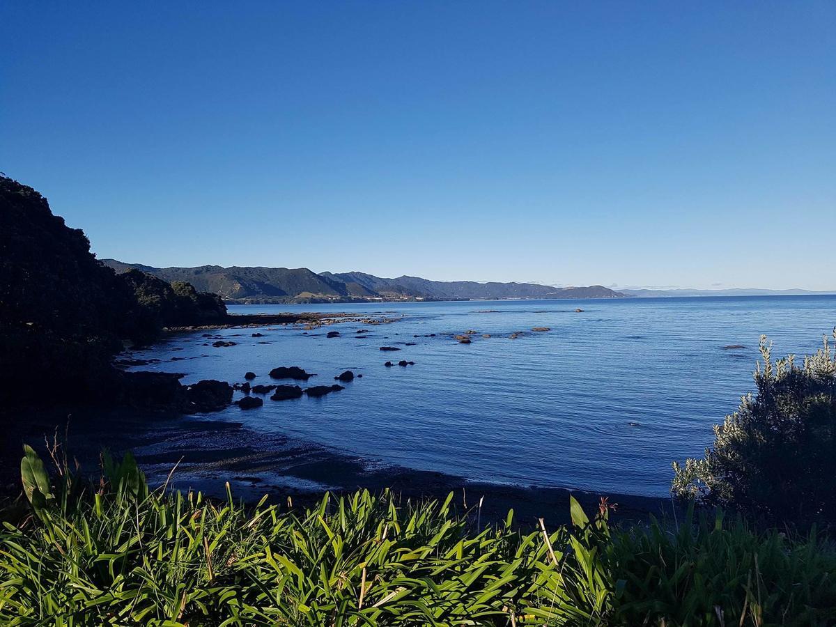 Te Kaha Beach Hotel Bagian luar foto