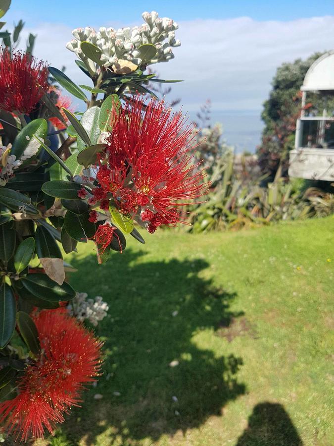 Te Kaha Beach Hotel Bagian luar foto